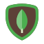 Icon Link
